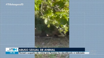 Suspeito de abusar sexualmente de animal em Paraíso é identificado e indiciado