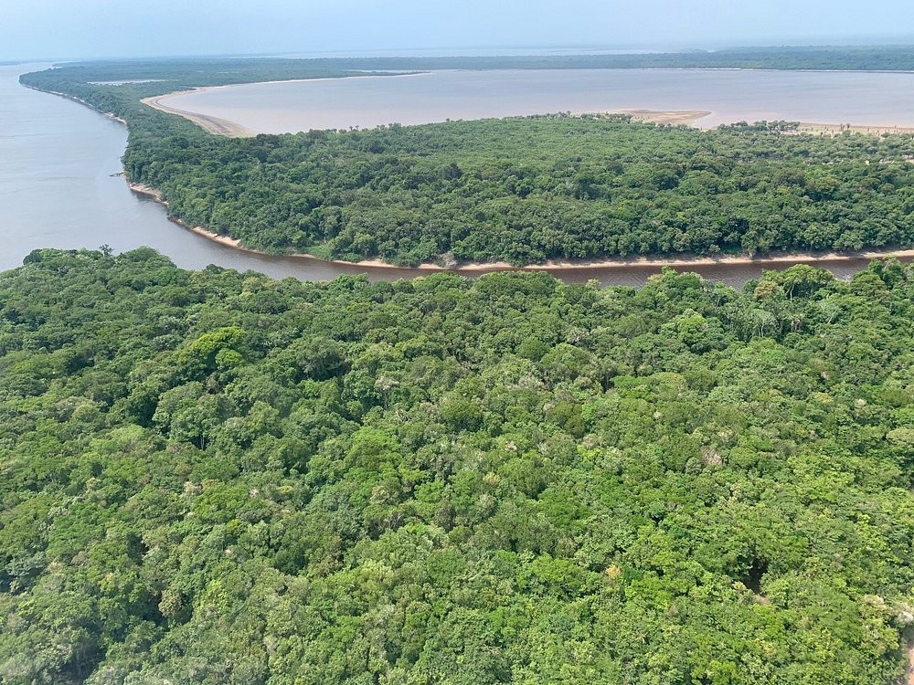 Nova lei de licenciamento ambiental ameaça Unidades de Conservação e a biodiversidade no AM, apontam especialistas