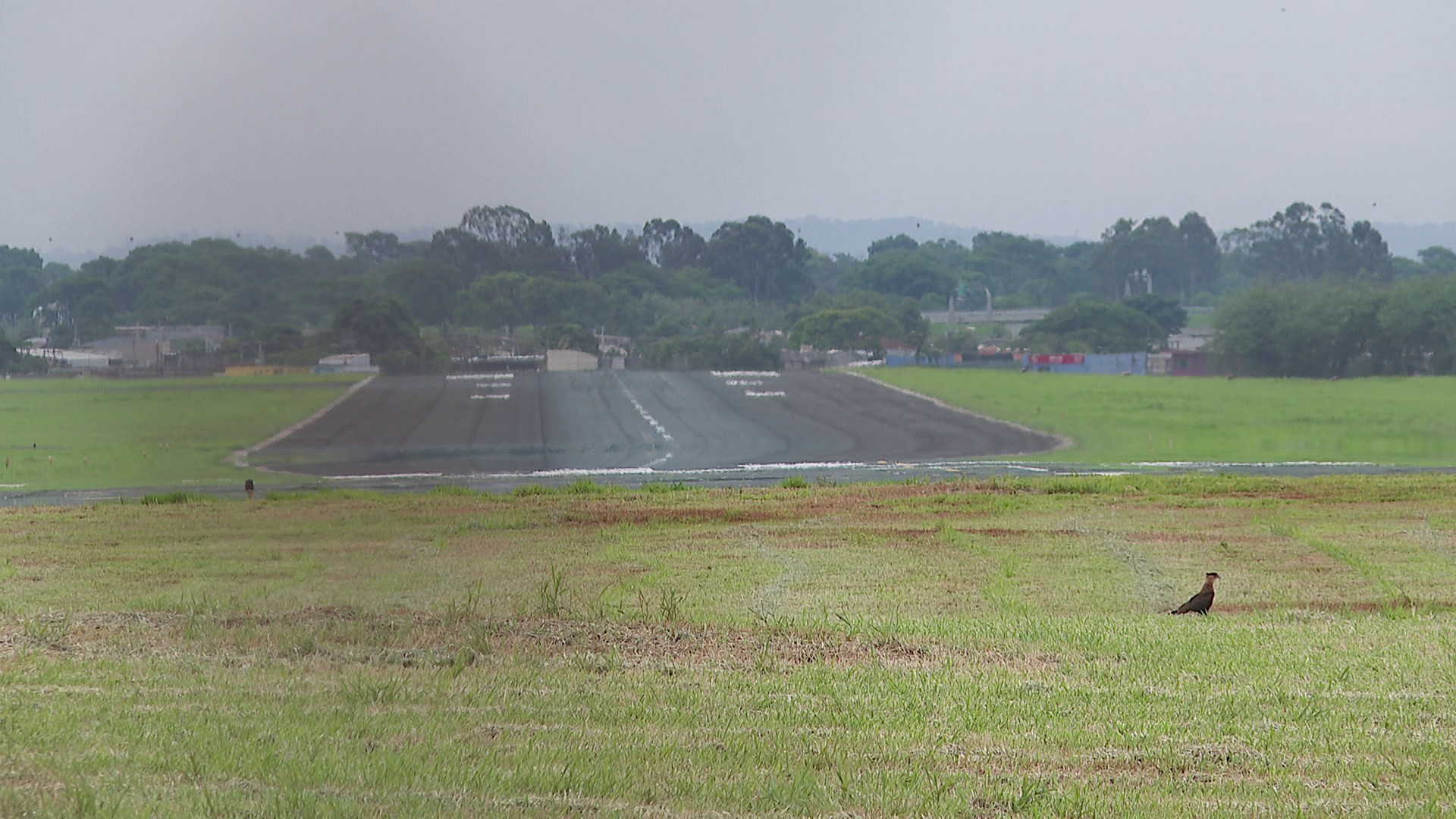 Aeroporto Leite Lopes tem operação de voos afetada por causa de furto de fios em Ribeirão Preto, SP
