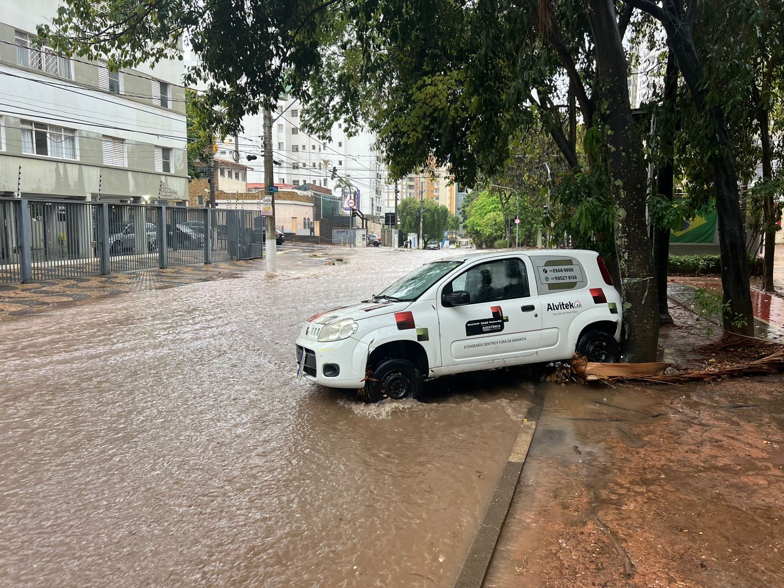 Tempestade com ventos de 74 km/h provoca alagamentos e queda de árvores na região de Campinas