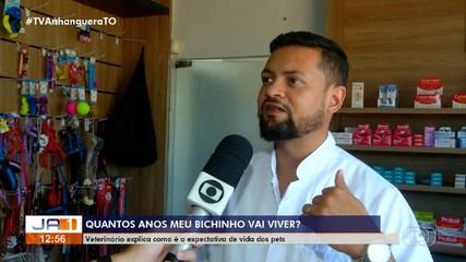Veterinário explica que a expectativa de vida dos pets pode variar por vários fatores