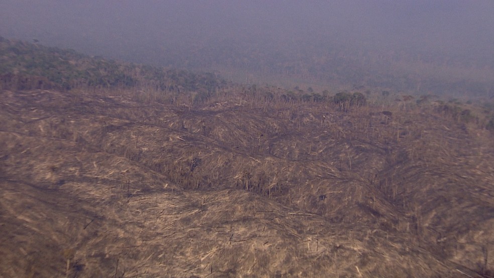 magem aérea feita na terça-feira, 16 de agosto de 2022 mostra desmatamento entre os estados de Rondônia e Amazonas.  — Foto: Ruan Gabriel/Rede Amazônica 