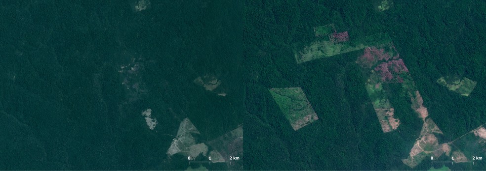 Desmatamento na TI Apyterewa no Pará. À esquerda, área devastada em 2020. À direita, derrubadas em 2022. — Foto: Reprodução / Imazon