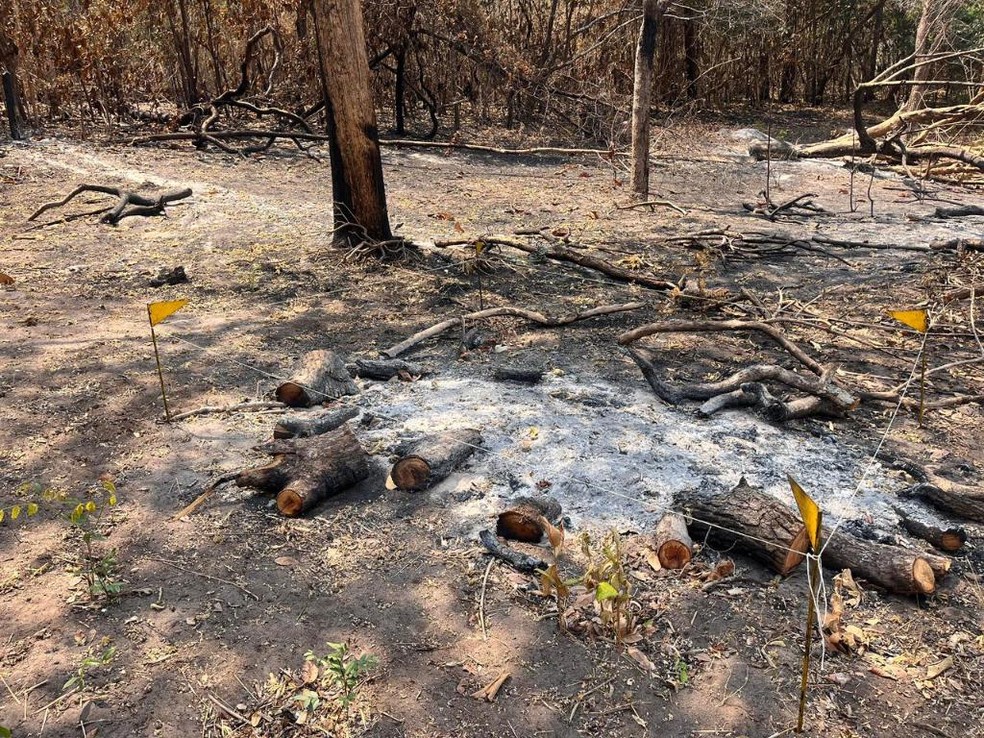 Perícia conclui que incêndio no Parque Estadual Serra Azul foi criminoso — Foto: Bombeiros