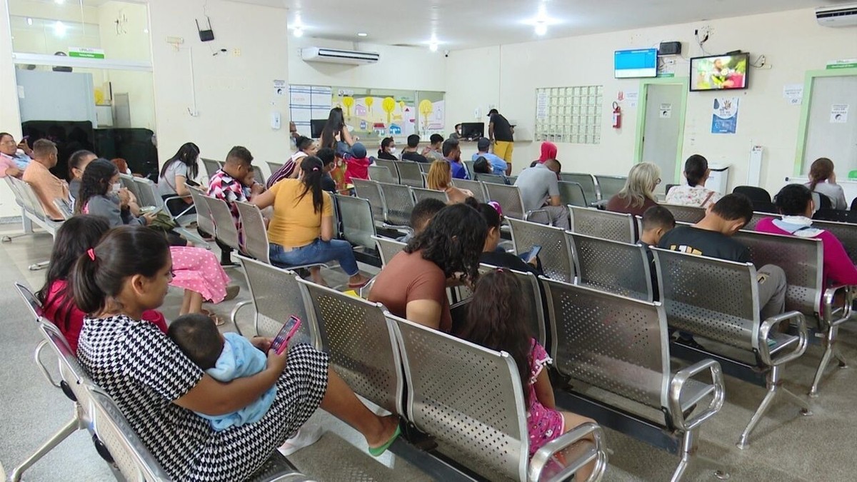 Acre tem mais de 300 casos de febre oropouche confirmados em 90% do estado | Acre