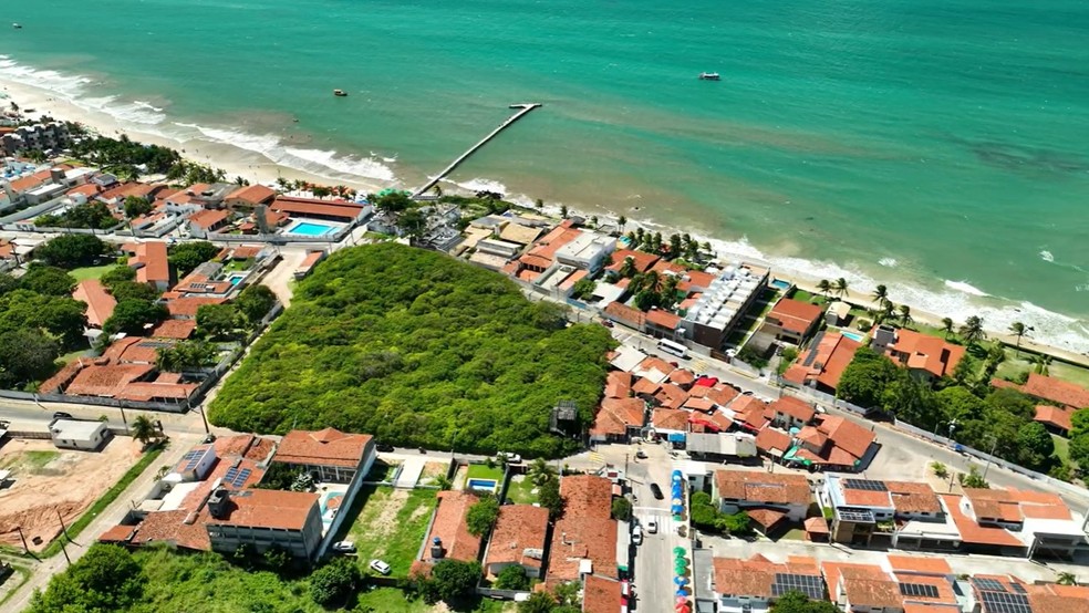 Maior cajueiro do mundo fica em Parnamirim, na Grande Natal — Foto: José Farias/Drone do Sol