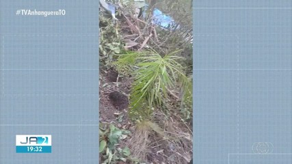 Avião de pequeno porte cai em zona rural de Divinópolis do Tocantins