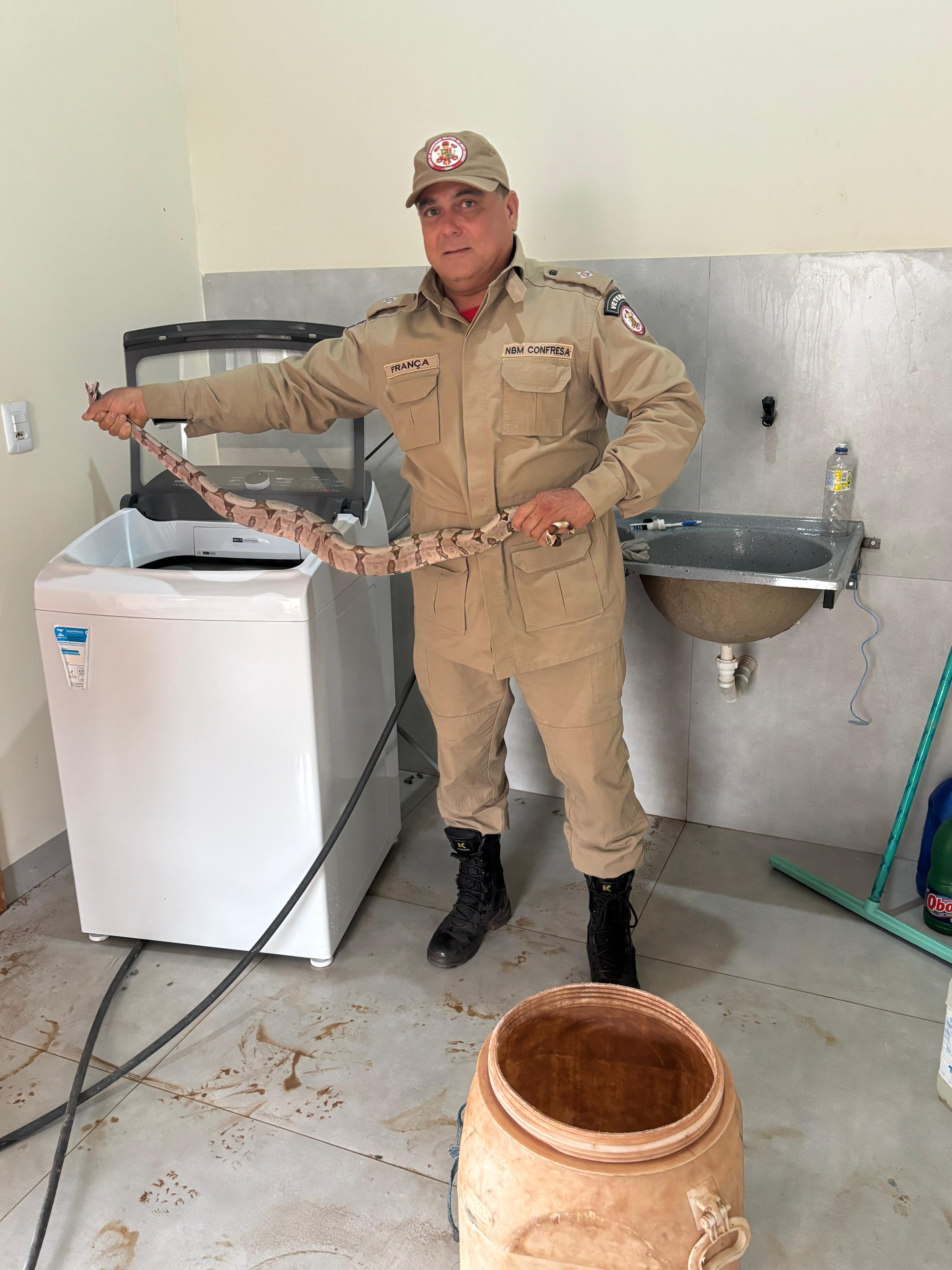 Jiboia de 2 metros entra em máquina de lavar para se 'esconder' do frio em MT; entenda comportamento 