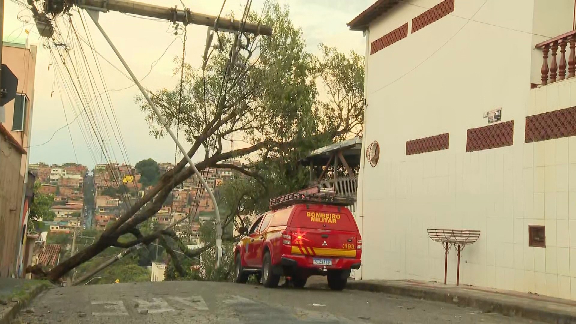 Chuva forte em BH derruba árvores e postes, com casa e carros atingidos; VÍDEO