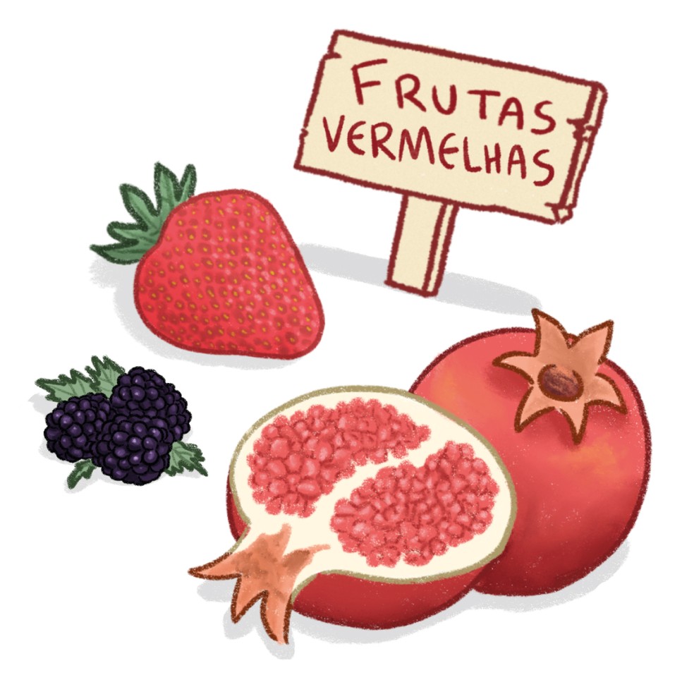 As frutas vermelhas são ricas em vitamina B e antioxidantes. — Foto: Ana Moscatelli/Arte g1