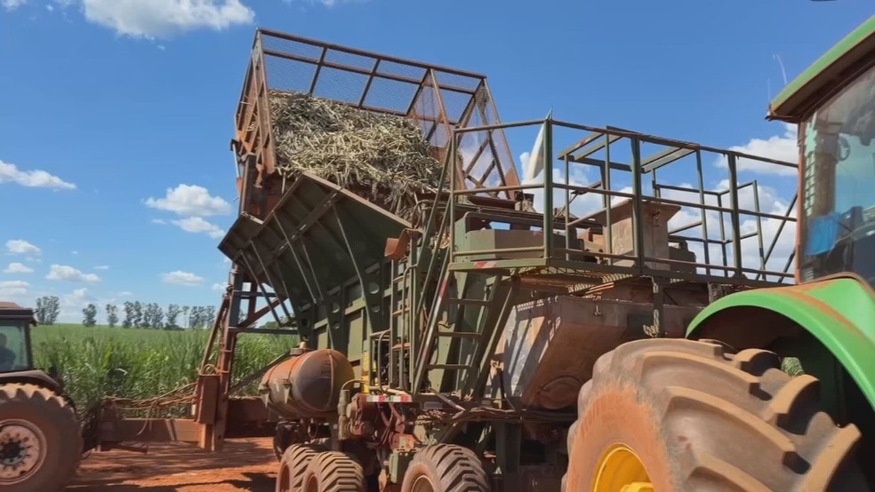 Guerra no M&eacute;dio Oriente causa impacto no pre&ccedil;o do diesel; podendo afetar a colheita da cana no interior de SP &mdash; Foto: Reprodu&ccedil;&atilde;o/TV TEM