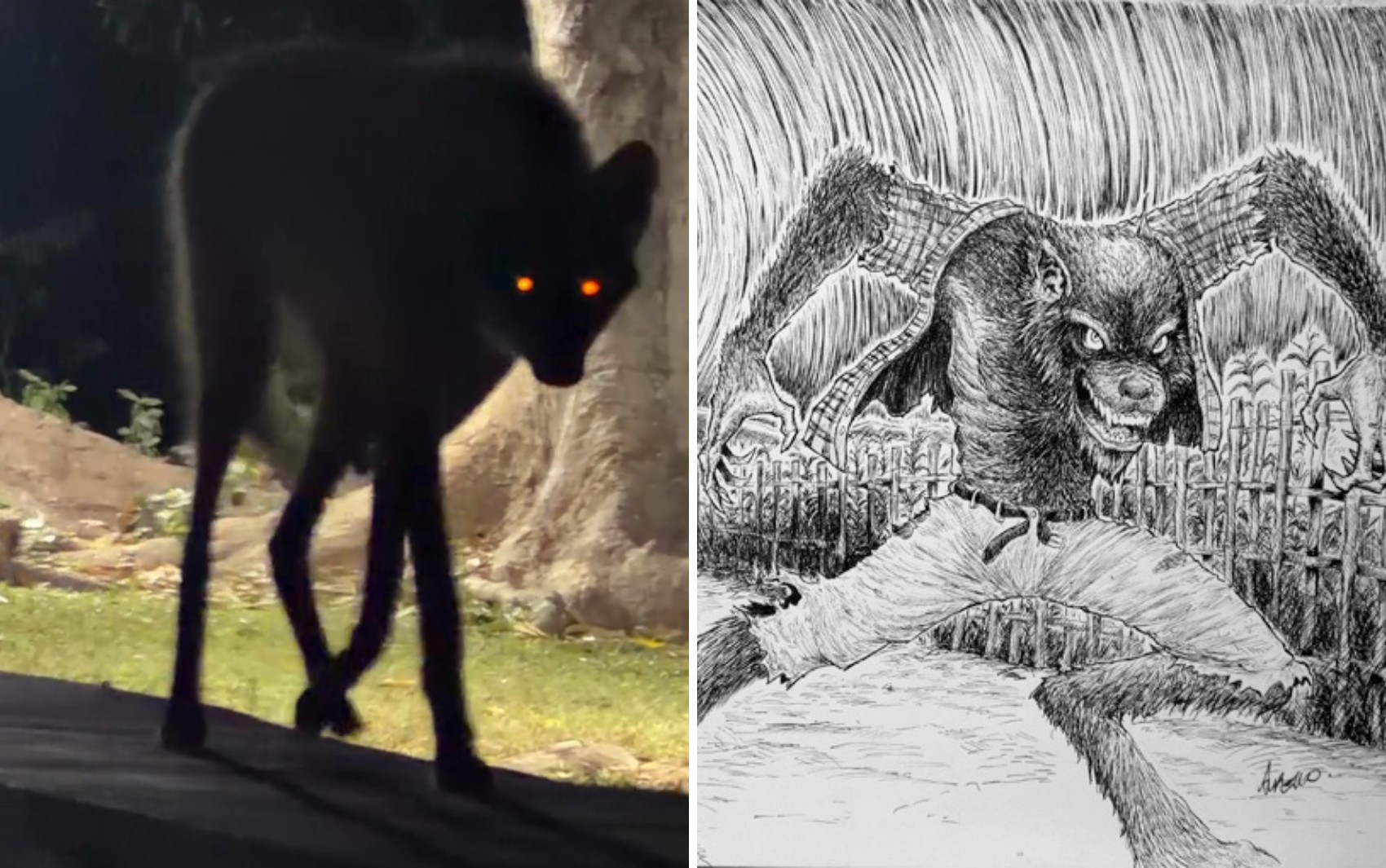 Entenda por que o lobo-guará ajuda a alimentar lenda do lobisomem no Brasil