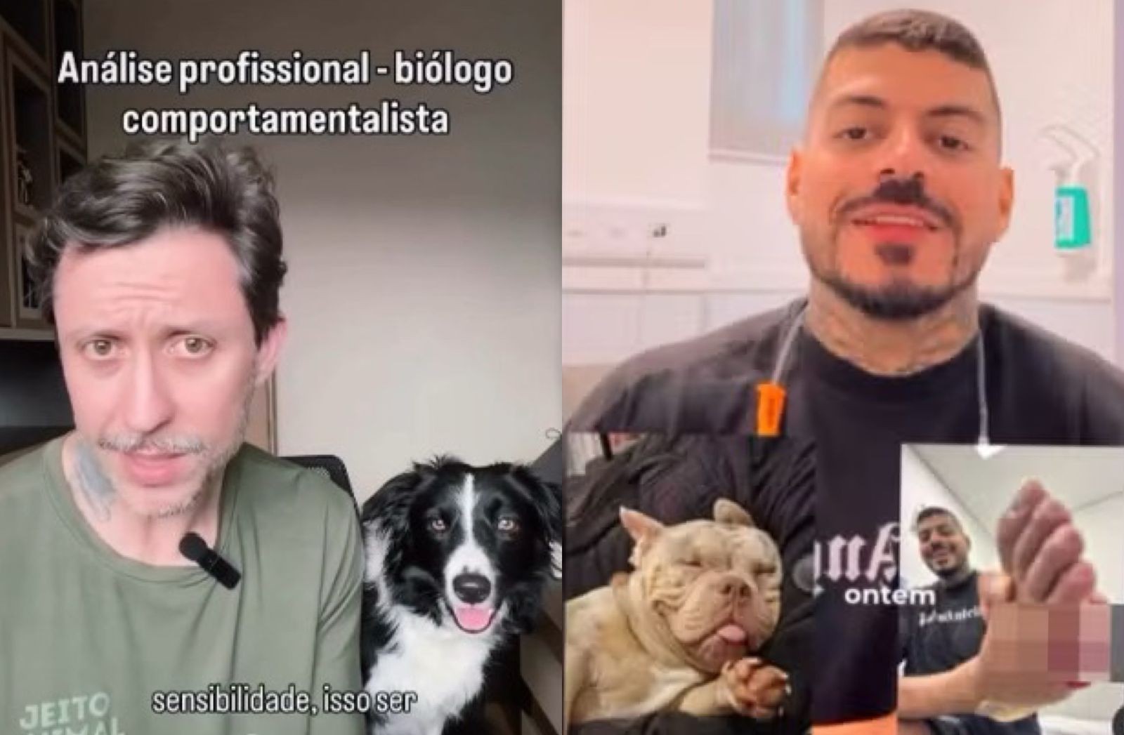 ‘Mordida exploratória’: biólogo explica motivo de cão comer dedo de influenciador de SC enquanto ele dormia; VÍDEO