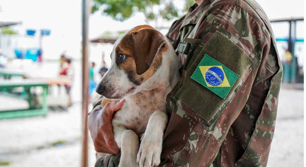 Shopping recebe feira de adoção de cães e gatos com apresentações de adestramento em Boa Vista