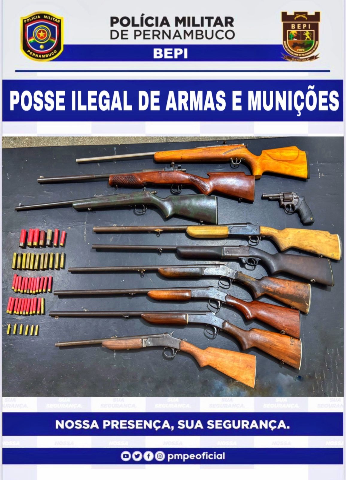 Homem é preso com 10 armas em Canhotinho