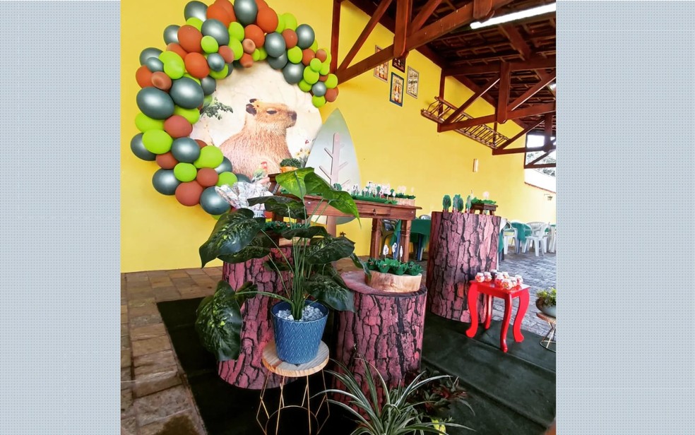 Aniversariante de 9 anos ganha festa com tema de capivara em Ribeirão Preto  e viraliza nas redes, Ribeirão Preto e Franca