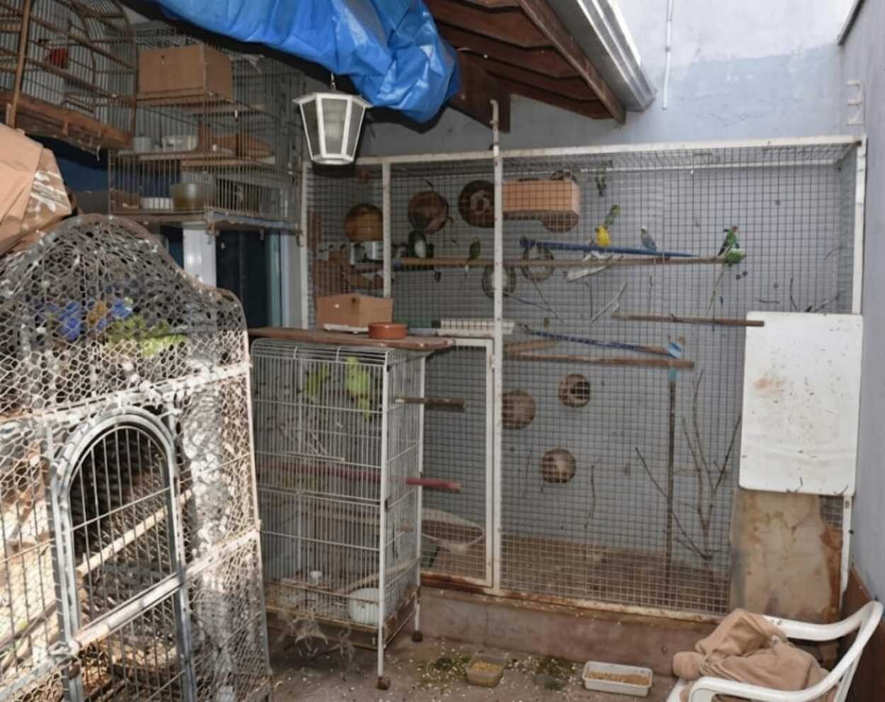 Homem é multado em R$ 272 mil por maus-tratos a 78 animais no interior de SP