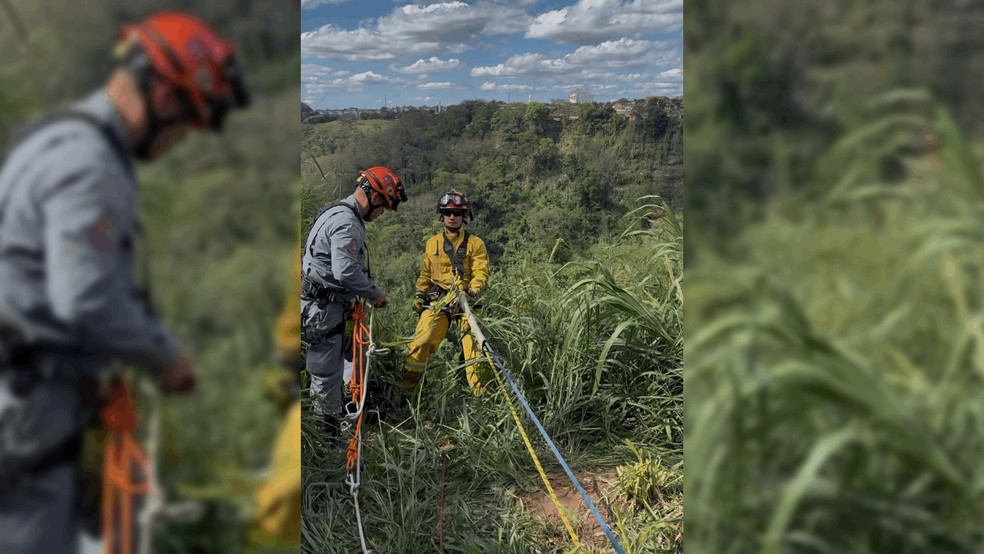2 de 2
Cachorro é resgatado após cair de penhasco de 15 metros em Marília — Foto: Corpo de Bombeiros/Divulgação