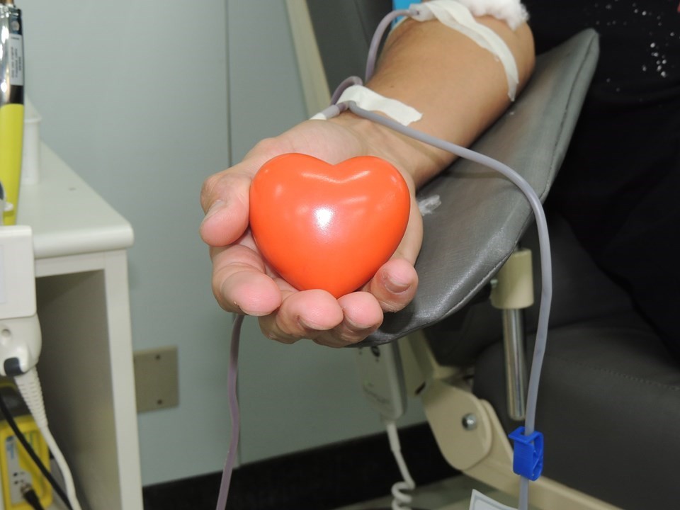TV Gazeta e Hemoes promovem Dia D de doação de sangue; saiba como participar