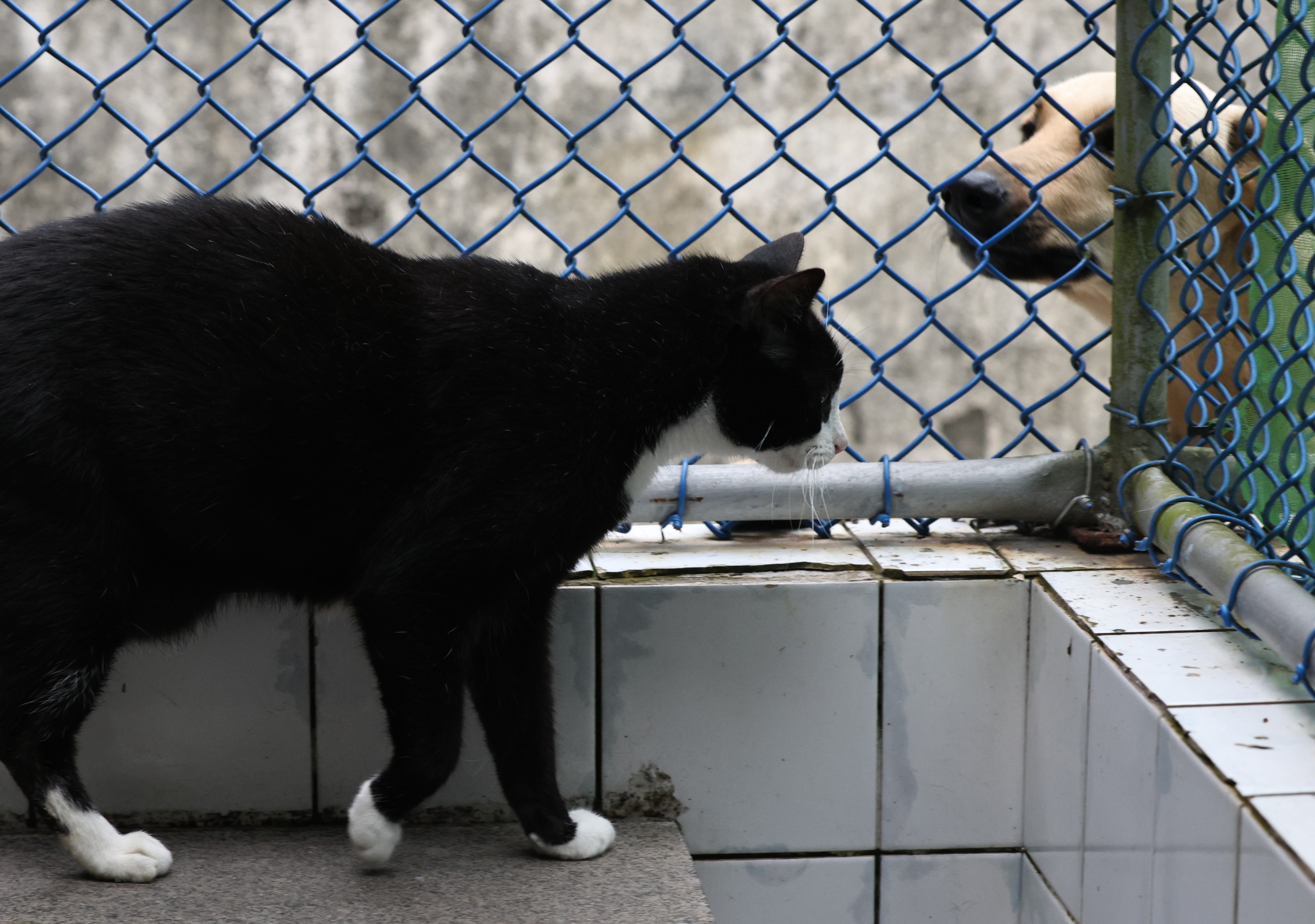 Você Não Tá Convidada pro Meu Bat Mitzvá!