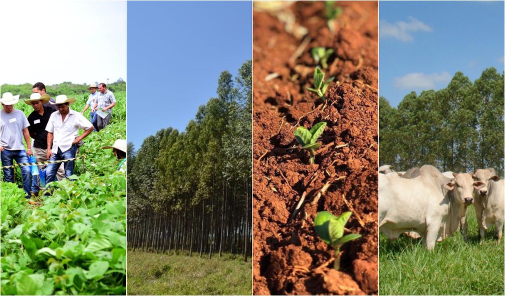 Pioneiro em seu segmento, Clube Agro aposta em tecnologia e soluções  inovadoras - Portal do Agronegócio