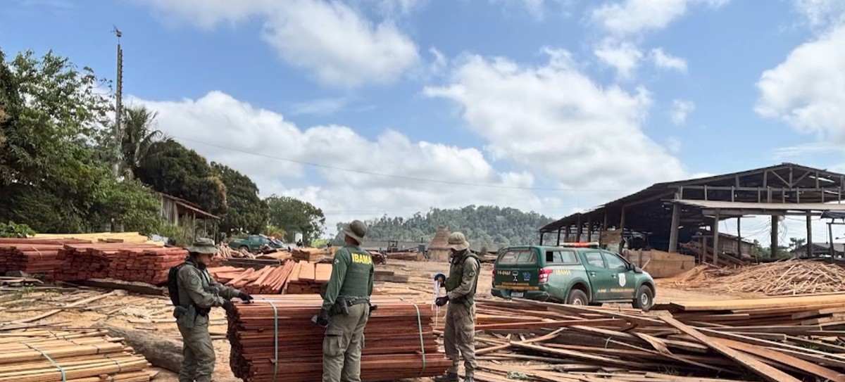 Operação fecha madeireira clandestina que explorava Terra Indígena em Uruará​‌​