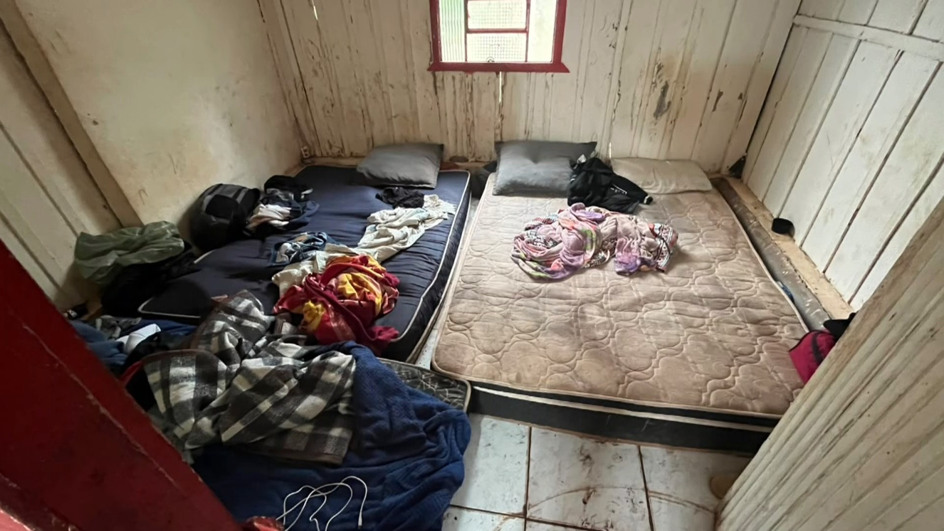 Adultos e menores de idade são resgatados de situação análoga à escravidão em colheita de mandioca no Paraná