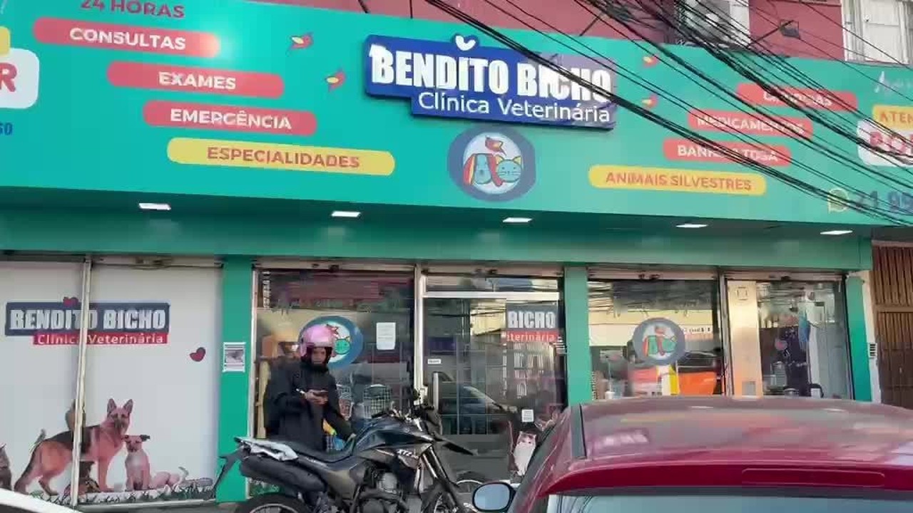Polícia Civil prende dono de clínica veterinária em Bonsucesso após apreender medicamentos vencidos
