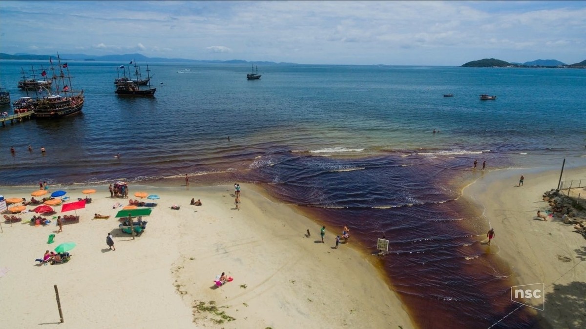 Cor escura e cheiro forte do Rio do Brás preocupa moradores de Canasvieiras, em Florianópolis