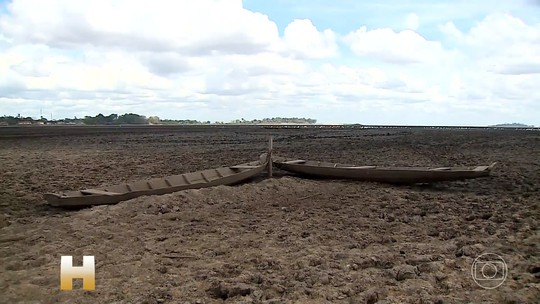Maior seca em 10 anos mata milhares de peixes no Maranhão - Foto: (Reprodução/TV Globo)