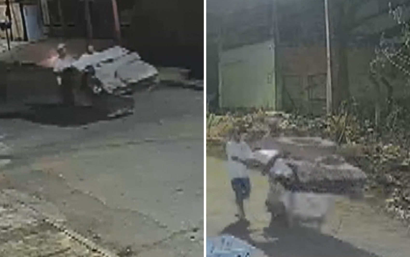 Homens empurram carrinho com corpo até escondê-lo em mata de Aparecida de Goiânia, diz polícia
