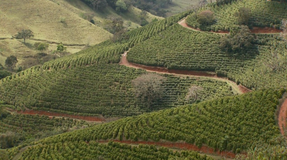 Cafés especiais ganham protagonismo no 2º Festival Mantiqueira de Minas; confira a programação — Foto: Reprodução/EPTV