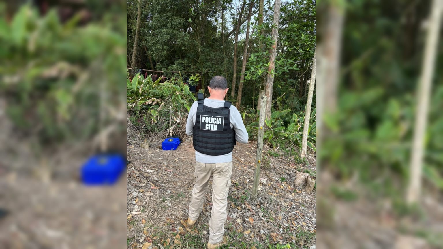 Corpos de três homens são encontrados carbonizados em área de mata no Sul de SC