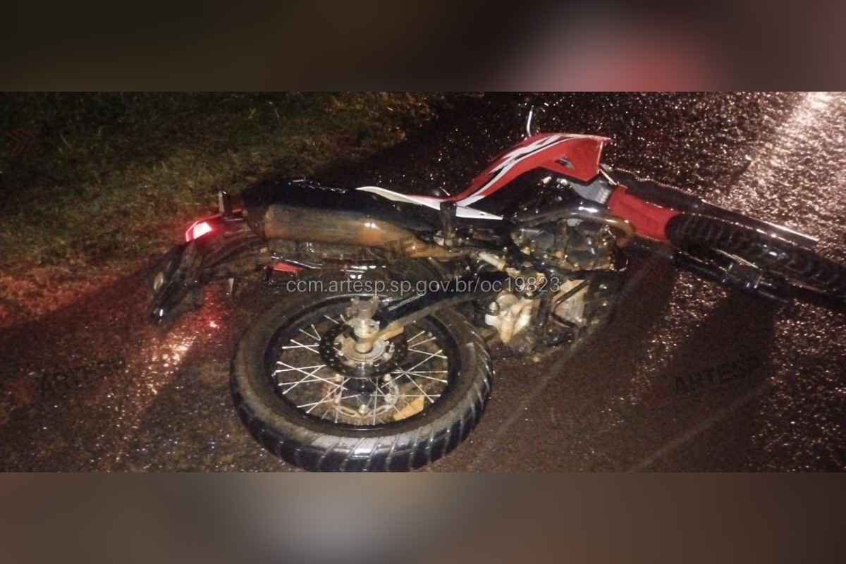 Motociclista morre após atingir boi solto em rodovia durante chuva forte no interior de SP