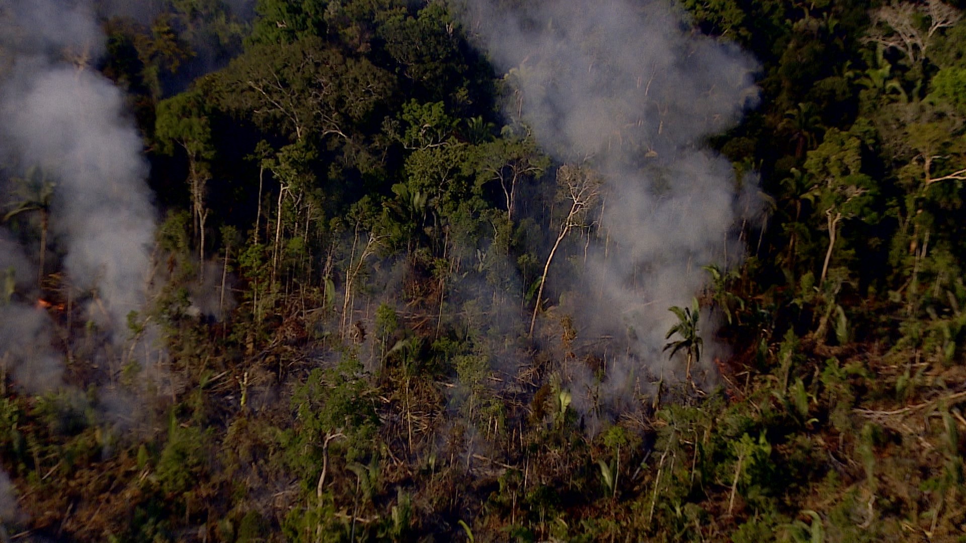 Amazonas tem queda de quase 67% nos focos de calor no primeiro semestre de 2025