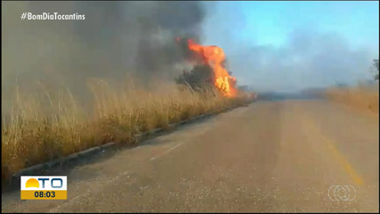 Brigadistas trabalham para conter incêndios na TO-296 em Talismã