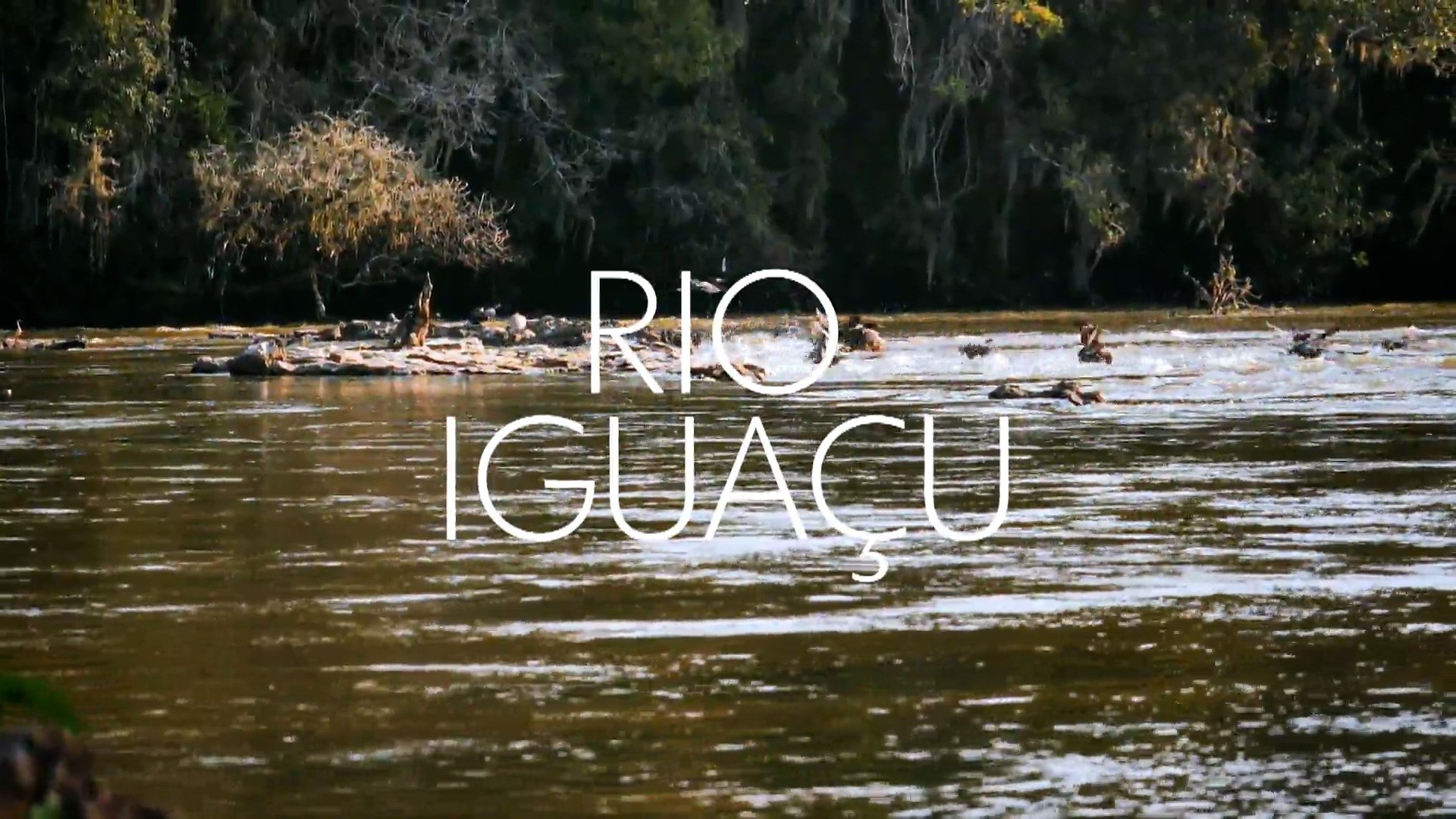 Globo Repórter percorre o Rio Iguaçu, da nascente à foz 