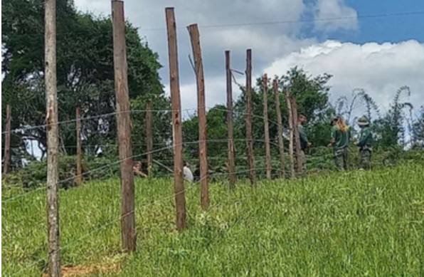 Justiça proíbe construções e venda ilegal de lotes em terra indígena de SP