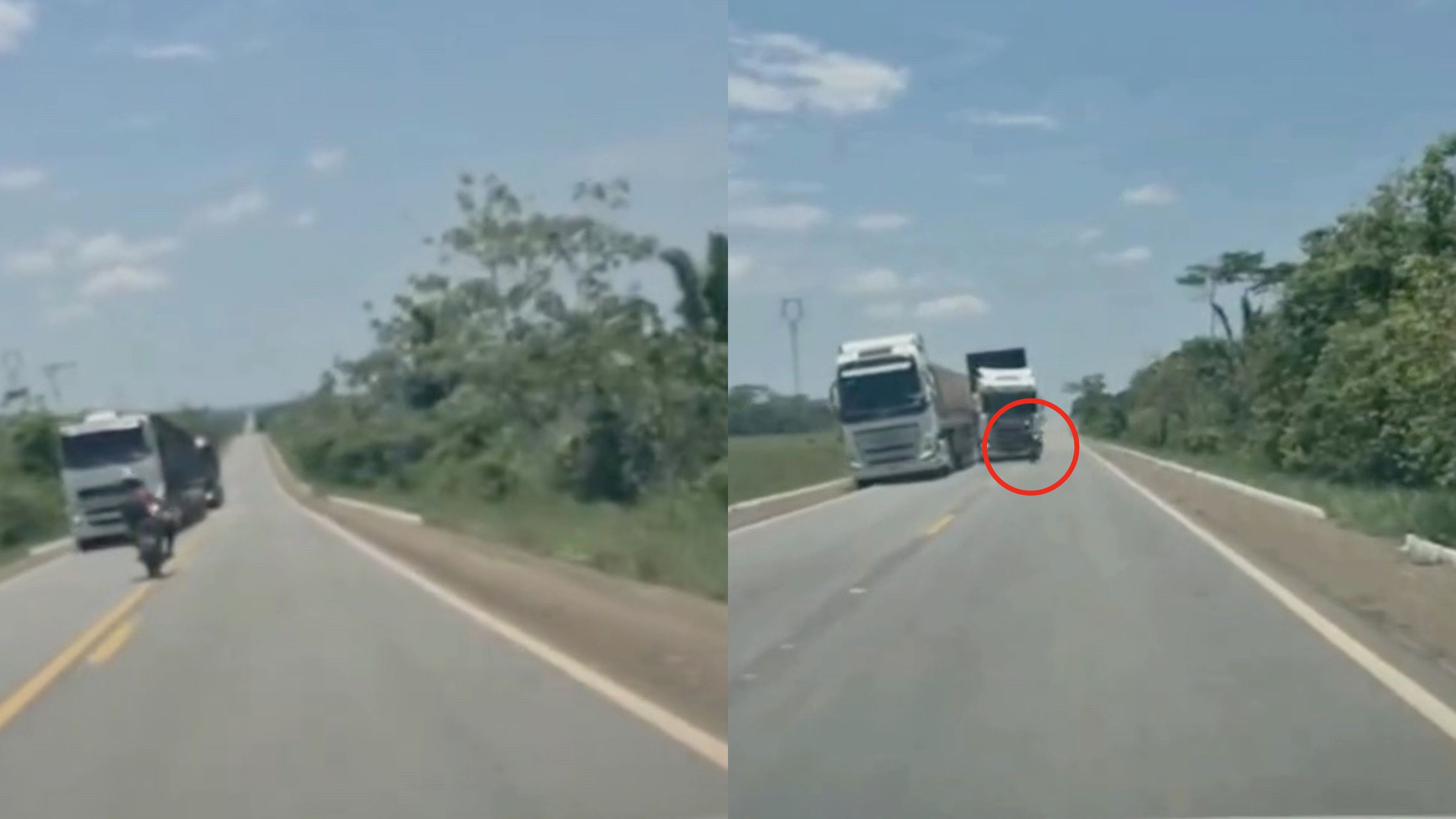 VÍDEO: Motociclista faz zigue-zague na pista e morre após ser atingido por caminhão boiadeiro em RO