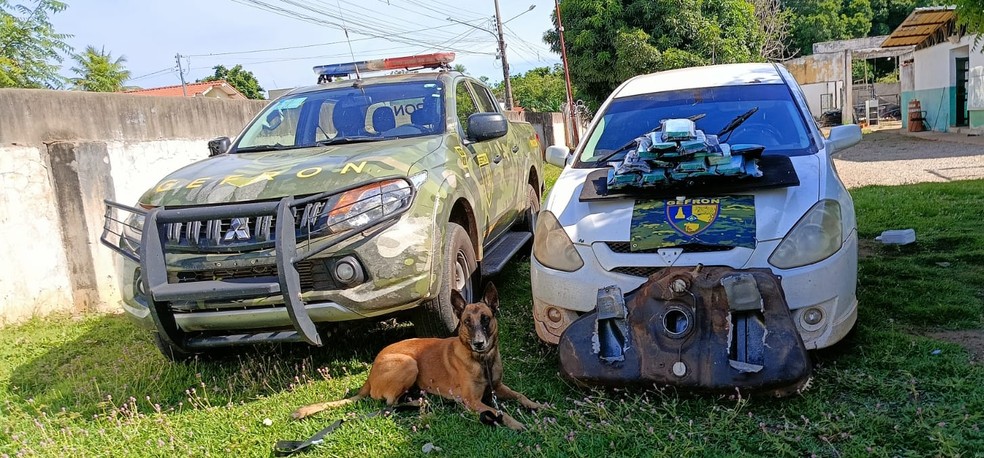 Cães farejadores encontram 22 pacotes de drogas escondidos em veículo vindo da Bolívia para MT — Foto: Gefron