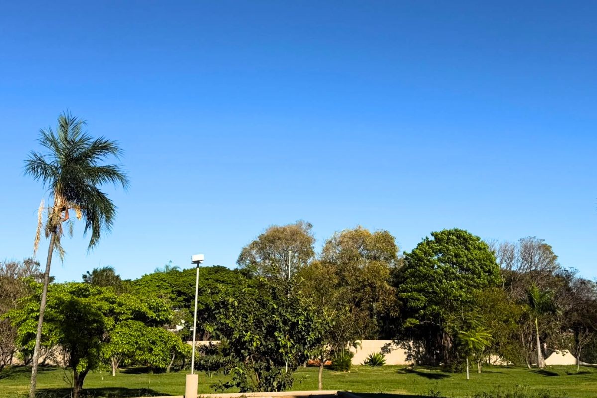 Frio marca amanhecer, mas MS pode ter variação de 19°C neste domingo; veja a previsão do tempo
