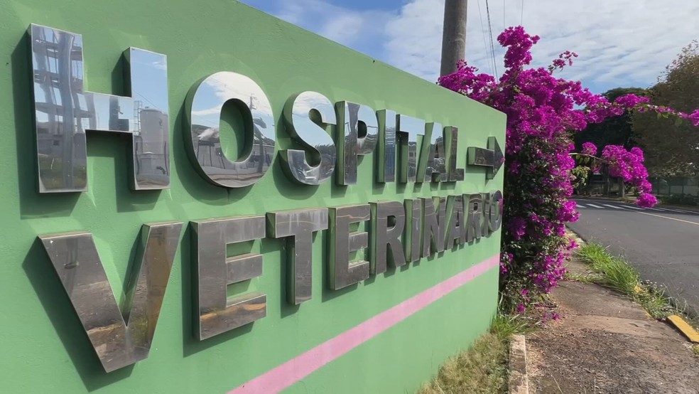 O Hospital Veterinário da FMVZ/Unesp atua na cidade desde 1978. — Foto: TV TEM/Reprodução
