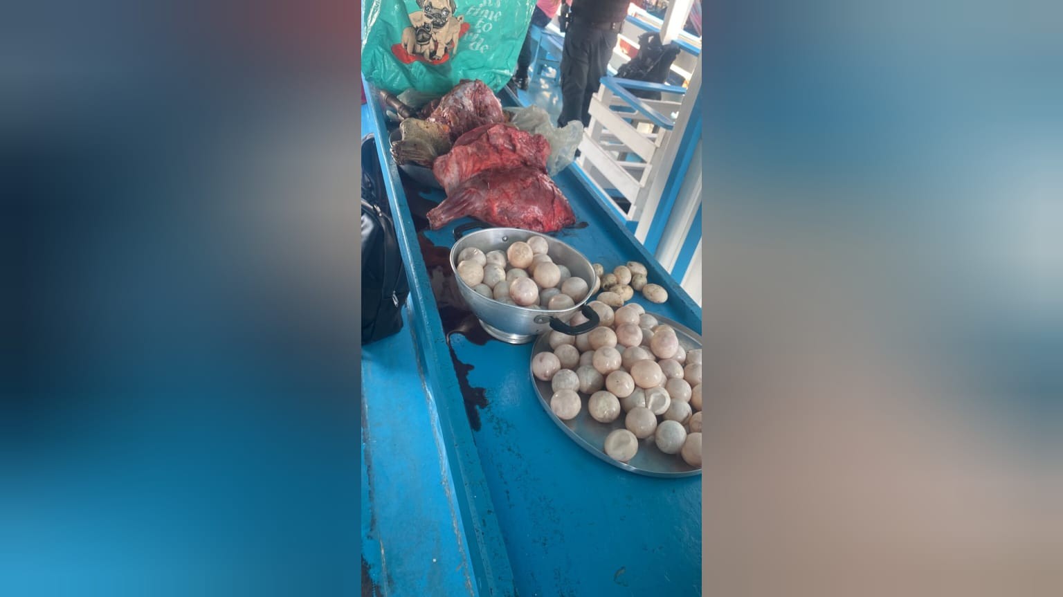 Fiscalização apreende ovos de quelônios e carne de animais silvestres em embarcação na orla de Santarém