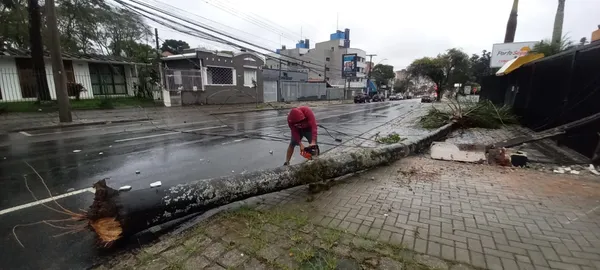 Curitiba registra diariamente uma - Prefeitura de Curitiba