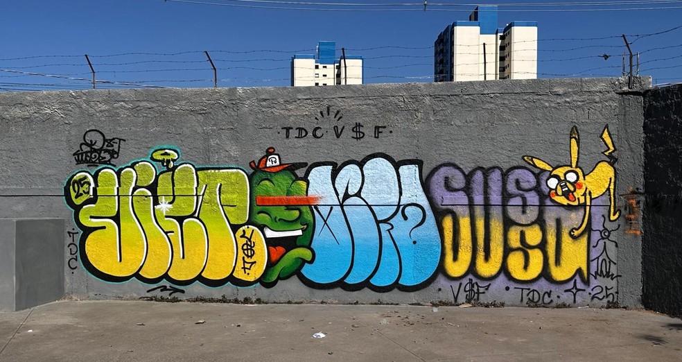Grafite Educativo restaura muros antigos em escola de Jundiaí (SP) — Foto: Arquivo Pessoal