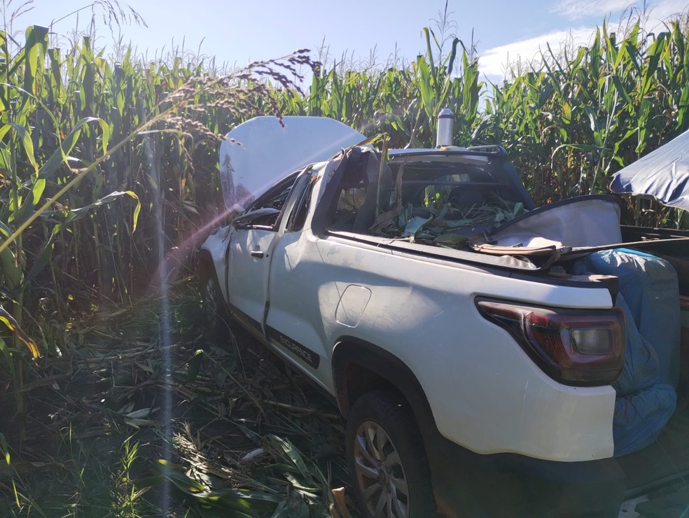 O filho do motorista disse que assumiu a direção do veículo que entrou em uma plantação de milho — Foto: Reprodução