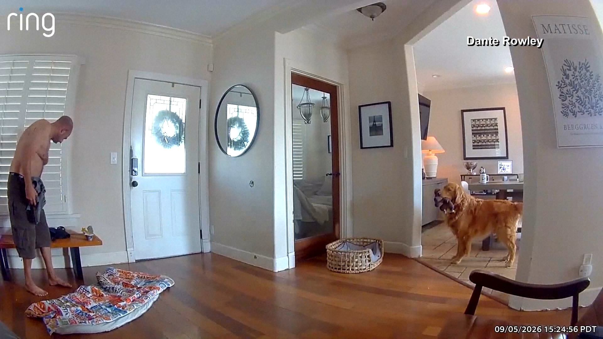 VÍDEO: golden diverte ao tentar brincar com bandido que invadiu sua casa nos EUA