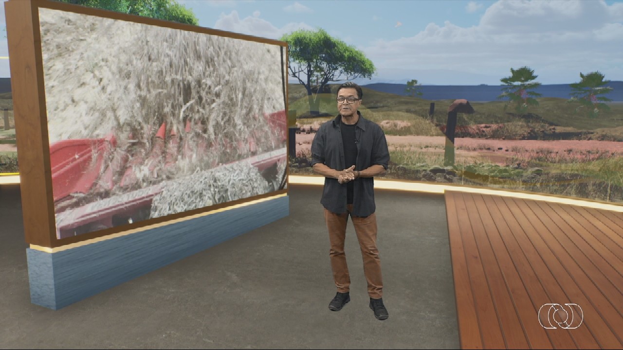 VÍDEOS: Jornal do Campo-TO deste domingo, 21 de junho de 2026