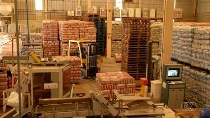 Tocantins espera produzir mais de 500 mil toneladas de arroz