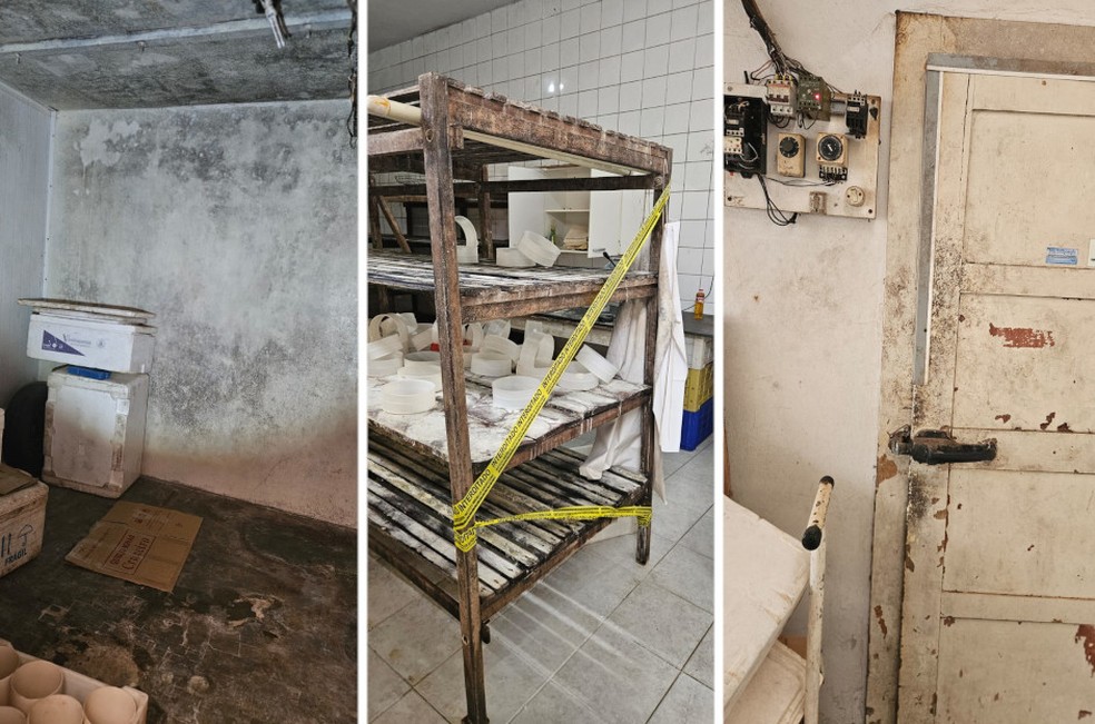 Mais de 250 quilos de queijo estragados são descartados em queijaria  clandestina